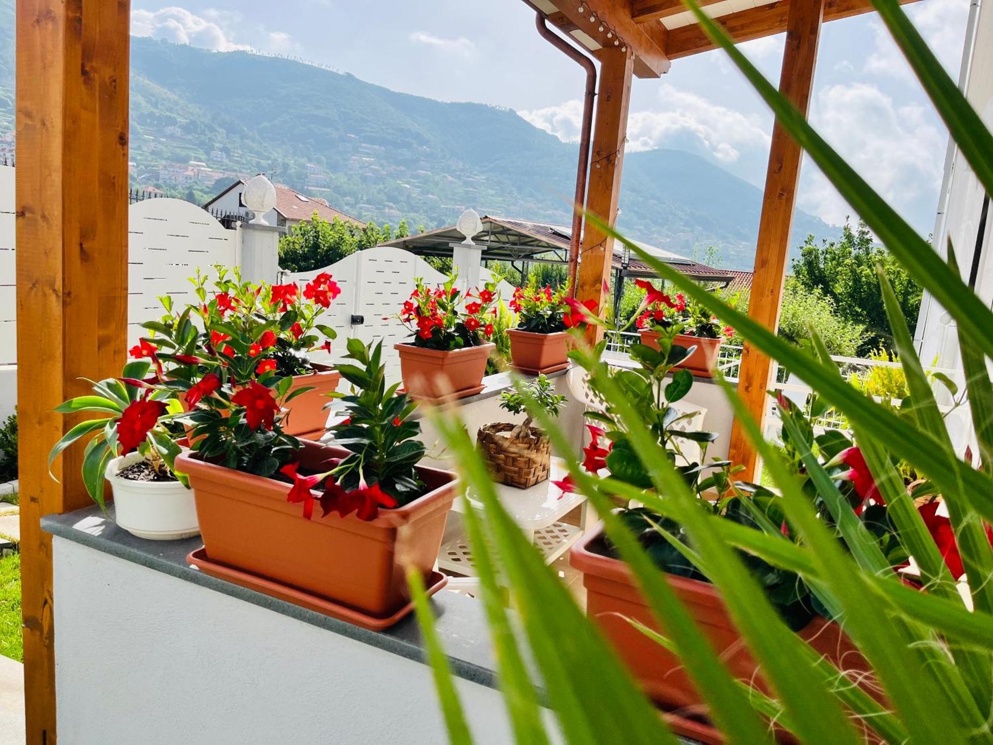 Agerola Dreams Apartment ภายนอก รูปภาพ